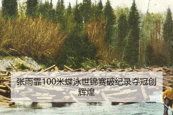 张雨霏100米蝶泳世锦赛破纪录夺冠创辉煌