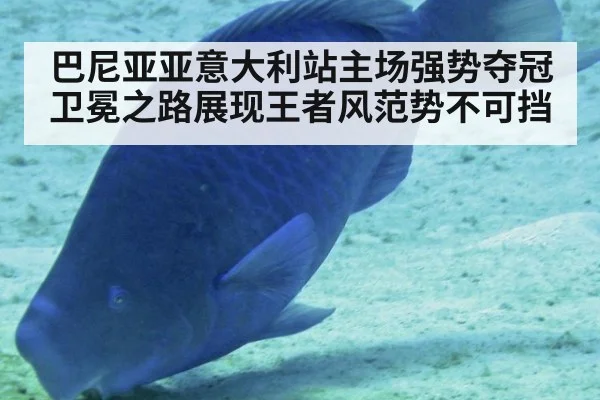巴尼亚亚意大利站主场强势夺冠 卫冕之路展现王者风范势不可挡